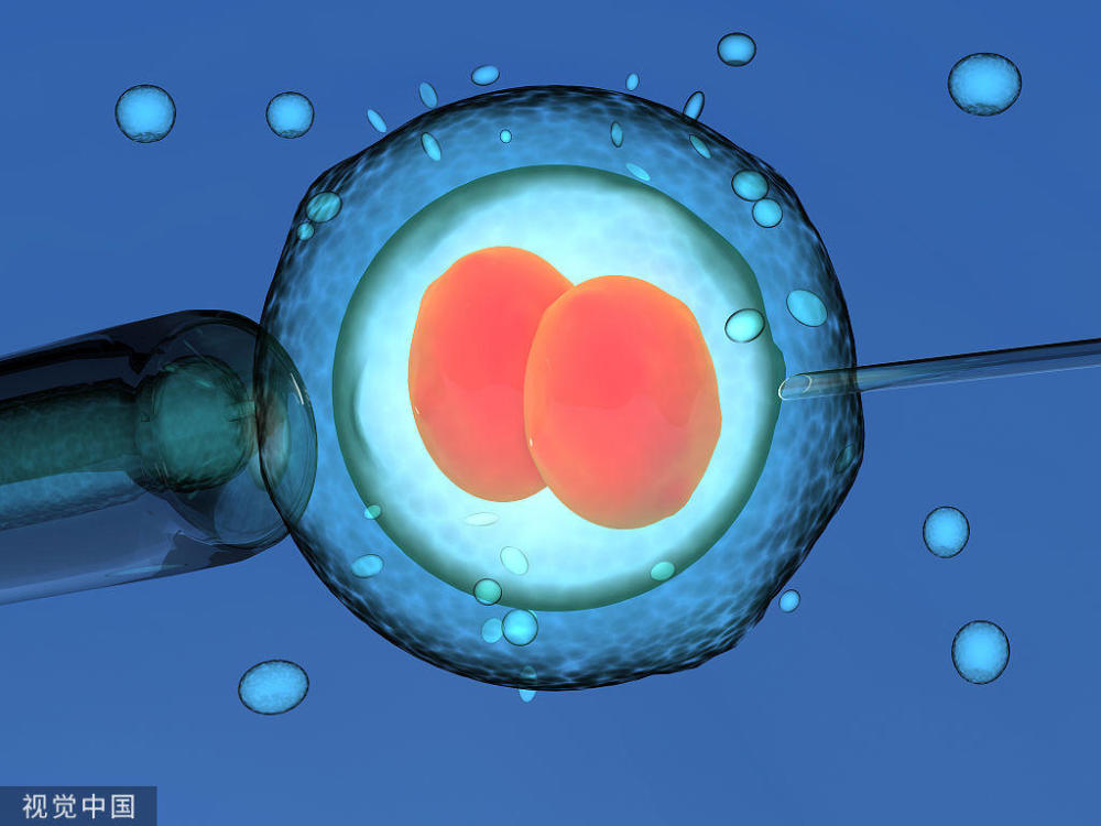 试管婴儿完整流程详解